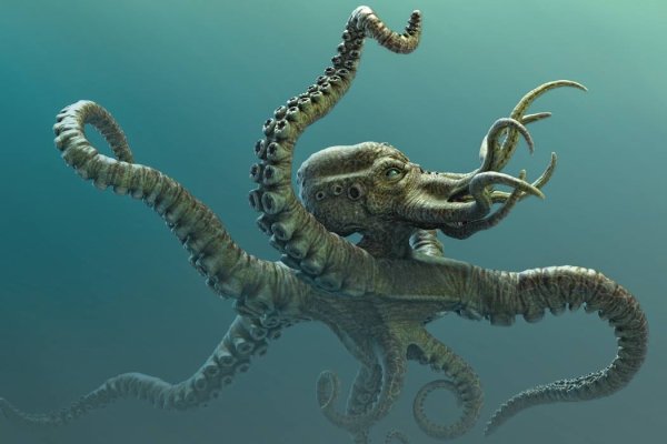 Kraken зеркала маркетплейс