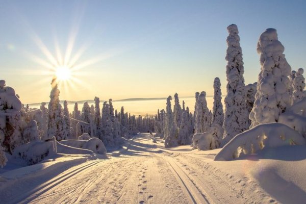 Кракен даркнет текст